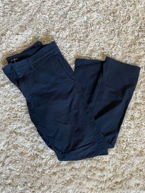J. Crew Navy Slim Tech Pants